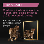 PRO PLAN Complément alimentaire pour peau et pelage du chat