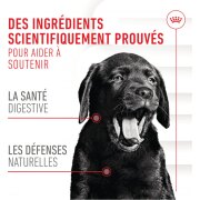 ROYAL CANIN Friandises Immunité & Digestion Soft Chew – Complément pour chien/chiot