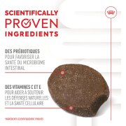 ROYAL CANIN Friandises Immunité & Digestion Soft Chew – Complément pour chien/chiot