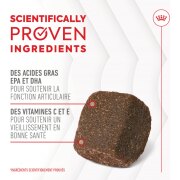 ROYAL CANIN Friandises articulation et vieillissement Soft Chew – Complément pour chien