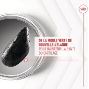 ROYAL CANIN Friandises articulation et vieillissement Soft Chew – Complément pour chien