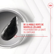 ROYAL CANIN Friandises articulation et vieillissement Soft Chew – Complément pour chien