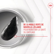 ROYAL CANIN Friandises articulation et vieillissement Soft Chew – Complément pour chien