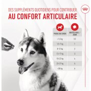 ROYAL CANIN Friandises articulation et vieillissement Soft Chew – Complément pour chien