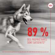 ROYAL CANIN Friandises articulation et vieillissement Soft Chew – Complément pour chien