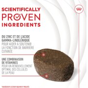 ROYAL CANIN Friandises Skin & Coat Chews – Supplément peau & pelage pour chien adulte