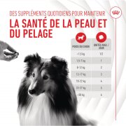 ROYAL CANIN Friandises Skin & Coat Chews – Supplément peau & pelage pour chien adulte