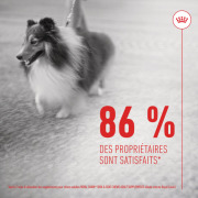 ROYAL CANIN Friandises articulation et vieillissement Soft Chew pour chien adulte