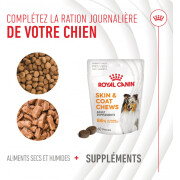 ROYAL CANIN Friandises Skin & Coat Chews – Supplément peau & pelage pour chien adulte