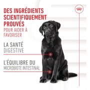 ROYAL CANIN Friandises Digestion Chews – Complément digestion & microbiote pour chien adulte