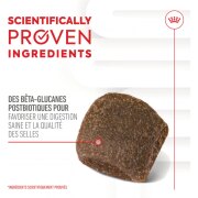 ROYAL CANIN Friandises Digestion Chews – Complément digestion & microbiote pour chien adulte