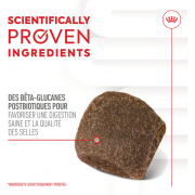 ROYAL CANIN Friandises Digestion Chews – Complément digestion & microbiote pour chien adulte