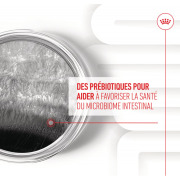 ROYAL CANIN Friandises Digestion Chews – Complément digestion & microbiote pour chien adulte