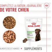 ROYAL CANIN Friandises Digestion Chews – Complément digestion & microbiote pour chien adulte