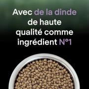 PRO PLAN Croquettes LiveClear chat stérilisé à la Dinde