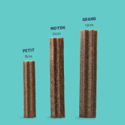 Edgard & Cooper Stick dentaire Mâch'Sticks Pomme & Eucalyptus