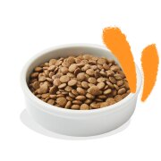 Croquettes chat adulte stérilisé au Poulet sans céréales