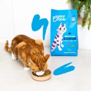 Croquettes chat adulte stérilisé au Saumon sans céréales