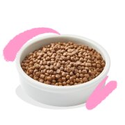 Croquettes pour Chaton – Canard & Poulet sans céréales