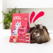 Croquettes pour Chat Senior – Poulet & Dinde sans céréales