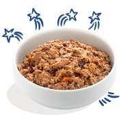 Pâtée Sans Céréales pour Chien – Saumon & Dinde