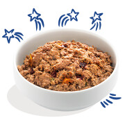 Pâtée Sans Céréales pour Chien – Saumon & Dinde