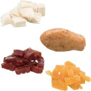 Calendrier de l’Avent pour chat