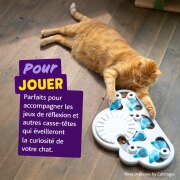 Friandises sans céréales Crunchies au Saumon pour chat
