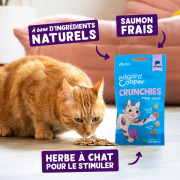 Edgard & Cooper Friandises sans céréales Crunchies au saumon pour chat 50 g