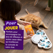Edgard & Cooper Friandises sans céréales Crunchies au poulet pour chat 50 g