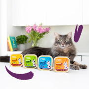 Edgard & Cooper Pâtée pour chat sans céréales dinde et poulet 85 g