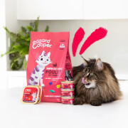 Pâtée pour chat sénior sans céréales poulet et dinde