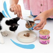 Edgard & Cooper Pâtée morceaux en sauce sans céréales pour chaton au cabillaud & poulet 85 g