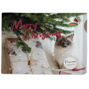 Calendrier de l’Avent premium pour chat 2025 Bubimex