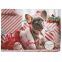 Calendrier de l’Avent premium pour chien 2025 Bubimex
