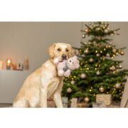 Peluche de Noël ours pour chien