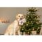 Peluche de Noël ours pour chien