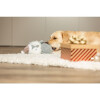 Peluche de Noël hibou avec corde pour chien