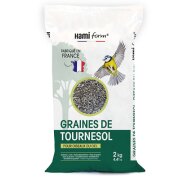 Graines de Tournesol