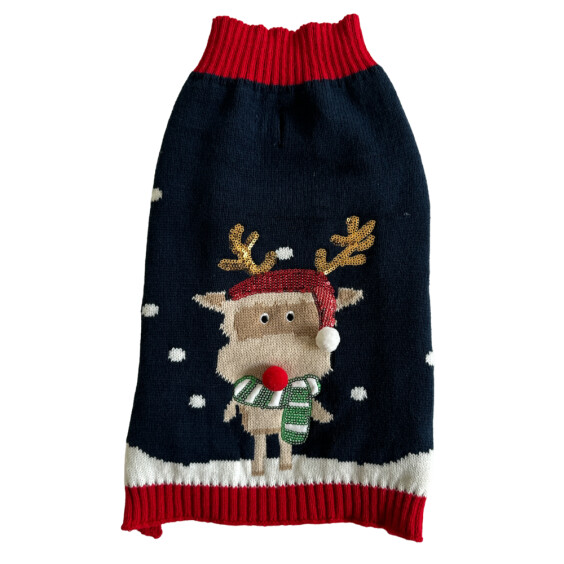 Pull Noël pour chien brodé Rennes Mon Ami Luki