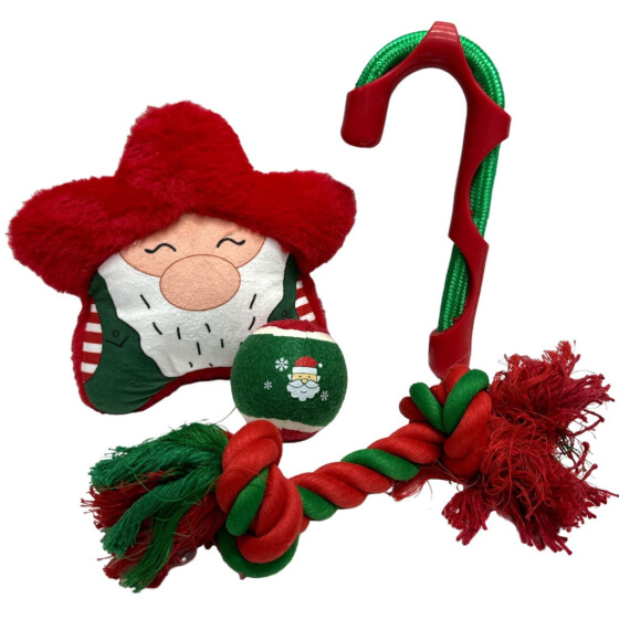 Coffret jouets de Noël pour chien – Peluche père + canne + corde