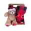 Ensemble peluche & couverture Noël – peluche ours + plaid 100×75 cm Mon Ami Luki