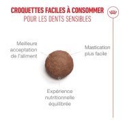 ROYAL CANIN Croquettes chat ageing 11+