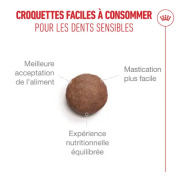 ROYAL CANIN Croquettes chat ageing 11+