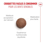 ROYAL CANIN Croquettes chat ageing sterilised 11+