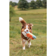 Jouet pour chien papillon en peluche 19 cm