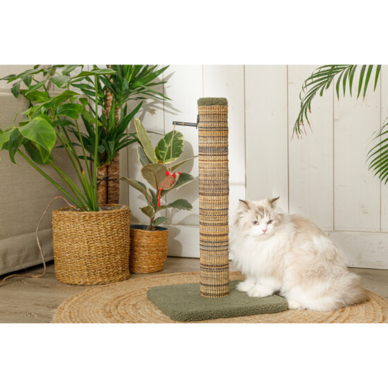 Poteau griffoir pour chat en bois FSC 70 cm