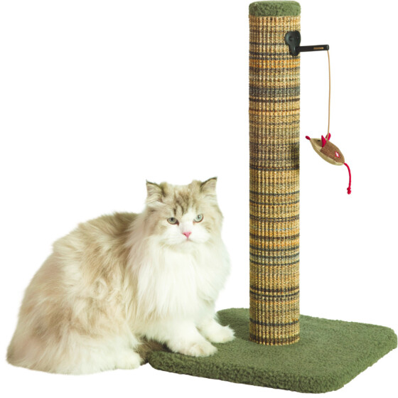 Poteau griffoir chat 60 cm en bois FSC