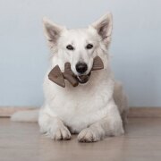 Jouet à mâcher Fishbone pour chien