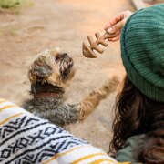 Jouet à mâcher Tiny Pack Fishbone pour petit chien